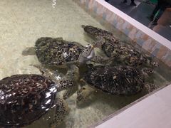 -常州海昌海洋探索馆
