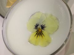 -Nectar One Cafe(勇烈路n1店)