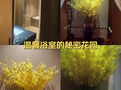 -海悦容庭SPA·按摩·推拿(埌西店)