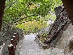 -金鸡山公园