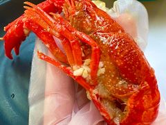 -眼镜哥浦江夜宵大本营