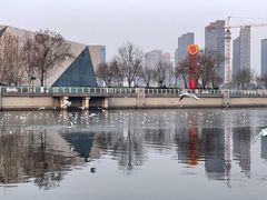 -海河游船-永乐码头(大悲院)