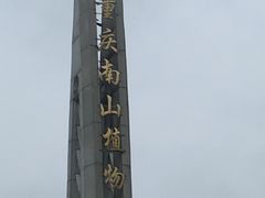 -南山植物园