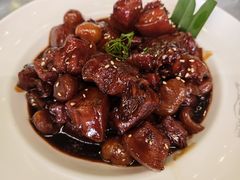 -京北渔家傲