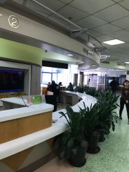 -首都医科大学附属北京儿童医院