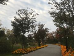 -鹅湖玫瑰文化园