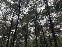 -长春净月潭风景名胜区