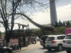 -陕西自然博物馆