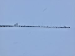 -滴血救世主教堂