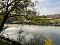 -南汇桃花村