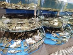 -蓝珊甄选海鲜自助·火锅大排档(近阿那亚店)
