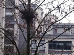 -江南大学(蠡湖校区)