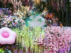 -正佳雨林生态植物园