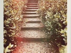 -帐篷客·溪龙茶谷度假酒店