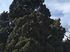 -青岛德国总督楼旧址博物馆