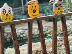 -呀路古热带植物园