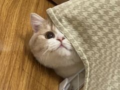 -在巷子里的烤肉店·螺蛳粉烤鱼·牛蛙(和美城店)