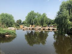 -北京西山国家森林公园