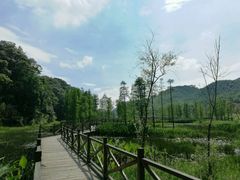 -广州市石门国家森林公园