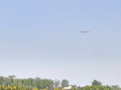 -空港花田景区
