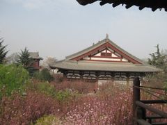 -西安青龙寺遗址景区