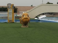 -秦皇岛乐岛海洋王国