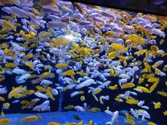 -成都浩海立方海洋公园