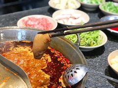 毛肚梗子-大虎重庆老火锅(正弘城店)