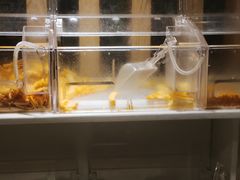 -天语雅阁(崇安寺店)