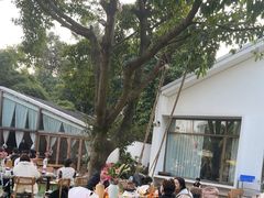 -柠檬花院烤肉·会议团建·聚会·求婚(三圣乡店)