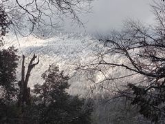 -龙苍沟森林公园
