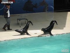 -西安秦岭野生动物园