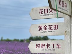 -紫颐香薰山谷景区