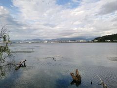 -洱海月湿地公园