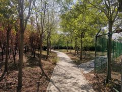 -天津东丽湖风景区