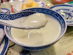 招牌姜撞奶-捷信牛奶甜品世家(五道口店)