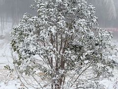 -四明山国家森林公园