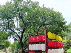-桃源山庄·水蜜桃采摘·柴火鸡·烧烤团建(龙泉山店)