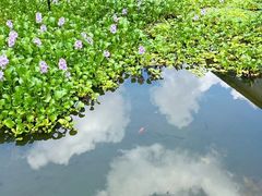 -古田会议纪念馆