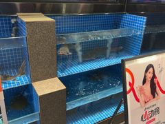 -涿派·炝锅鱼(涿州店)