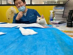 -瑞派·爱瑞可动物医院·口腔专科(广华新城分院)
