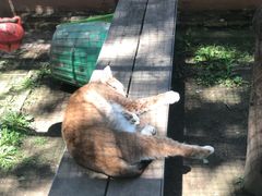 -青藏高原野生动物园