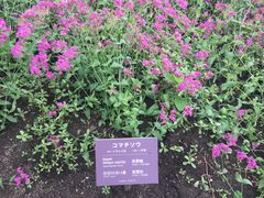 -富田农场