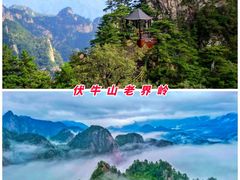 -中国西峡恐龙遗迹园