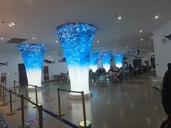 -深海中餐厅(国家海洋博物馆店)