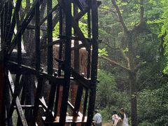 -波尔登森林公园