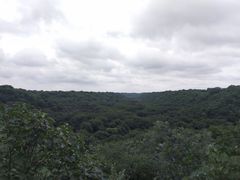 景点-大青沟风景区