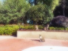 -昆山城市生态森林公园