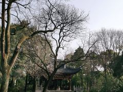-汇龙潭