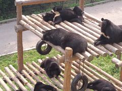 -大连森林动物园